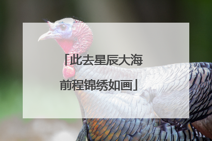 此去星辰大海 前程锦绣如画