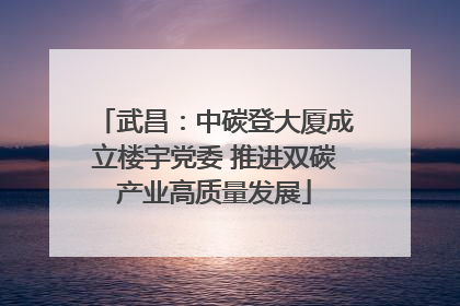 武昌：中碳登大厦成立楼宇党委 推进双碳产业高质量发展