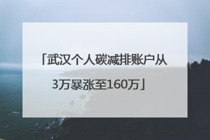 武汉个人碳减排账户从3万暴涨至160万