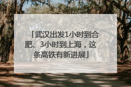 武汉出发1小时到合肥、3小时到上海，这条高铁有新进展