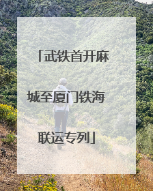 武铁首开麻城至厦门铁海联运专列