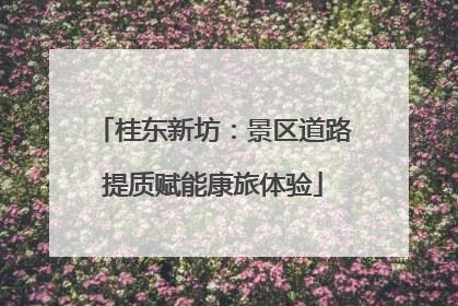 桂东新坊：景区道路提质赋能康旅体验