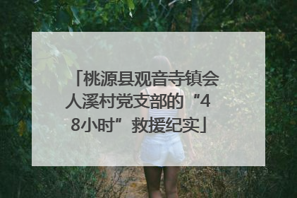 桃源县观音寺镇会人溪村党支部的“48小时”救援纪实