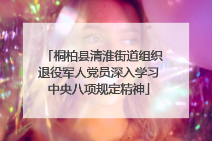 桐柏县清淮街道组织退役军人党员深入学习中央八项规定精神