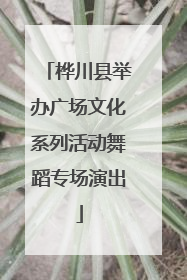 桦川县举办广场文化系列活动舞蹈专场演出
