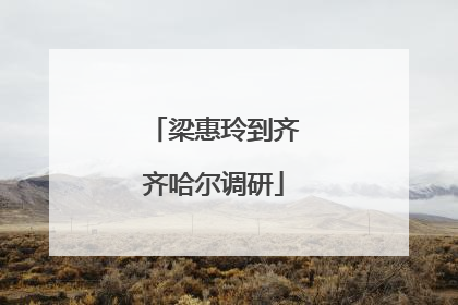 梁惠玲到齐齐哈尔调研