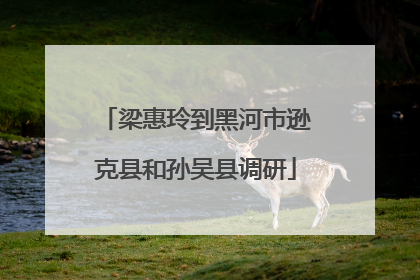 梁惠玲到黑河市逊克县和孙吴县调研