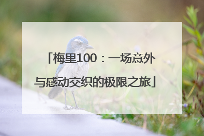 梅里100：一场意外与感动交织的极限之旅