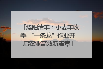 濮阳清丰：小麦丰收季 “一条龙”作业开启农业高效新篇章