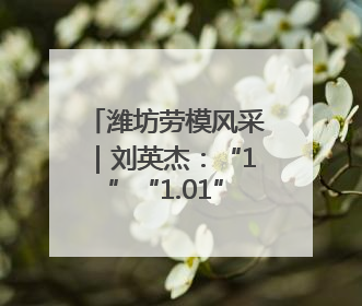 潍坊劳模风采｜刘英杰：“1”“1.01”“2”背后的奋斗密码