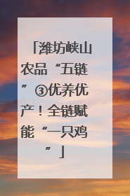 潍坊峡山农品“五链”③优养优产！全链赋能“一只鸡”