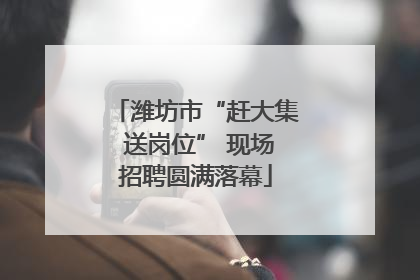 潍坊市“赶大集 送岗位” 现场招聘圆满落幕