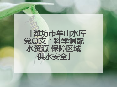 潍坊市牟山水库党总支：科学调配水资源 保障区域供水安全