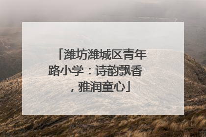 潍坊潍城区青年路小学：诗韵飘香，雅润童心