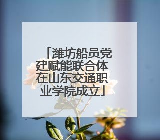 潍坊船员党建赋能联合体在山东交通职业学院成立
