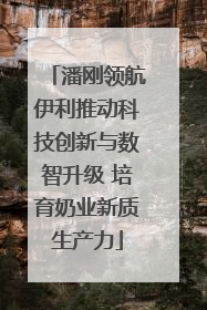 潘刚领航伊利推动科技创新与数智升级 培育奶业新质生产力