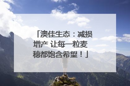 澳佳生态：减损增产 让每一粒麦穗都饱含希望！