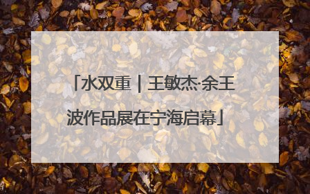 水双重｜王敏杰·余王波作品展在宁海启幕