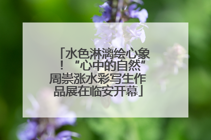 水色淋漓绘心象！“心中的自然”周崇涨水彩写生作品展在临安开幕