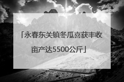 永春东关镇冬瓜喜获丰收 亩产达5500公斤