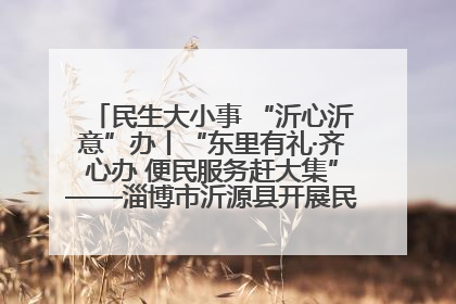 民生大小事 “沂心沂意”办丨“东里有礼·齐心办 便民服务赶大集”——淄博市沂源县开展民生政策宣传活动