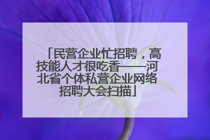 民营企业忙招聘，高技能人才很吃香——河北省个体私营企业网络招聘大会扫描