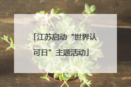 江苏启动“世界认可日”主题活动