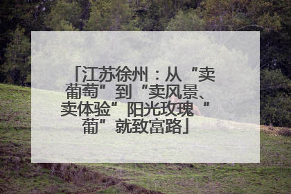 江苏徐州：从“卖葡萄”到“卖风景、卖体验”阳光玫瑰“葡”就致富路