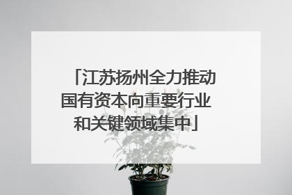 江苏扬州全力推动国有资本向重要行业和关键领域集中