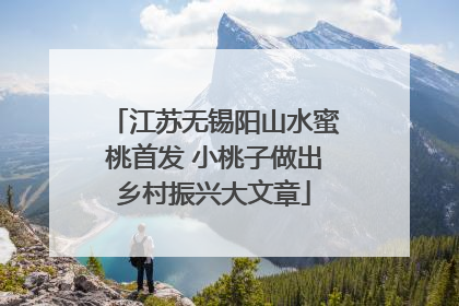 江苏无锡阳山水蜜桃首发 小桃子做出乡村振兴大文章
