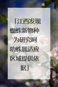 江西发现蜘蛛新物种 为研究呵叻蛛属适应区域提供依据