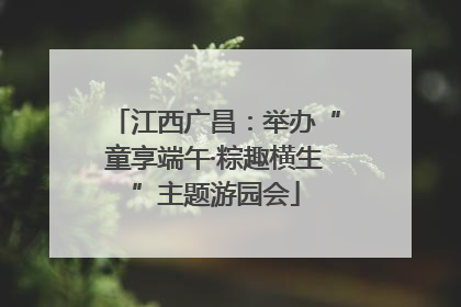 江西广昌：举办“童享端午·粽趣横生”主题游园会
