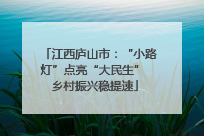 江西庐山市：“小路灯”点亮“大民生” 乡村振兴稳提速