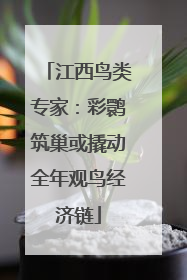 江西鸟类专家：彩鹮筑巢或撬动全年观鸟经济链