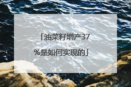 油菜籽增产37%是如何实现的