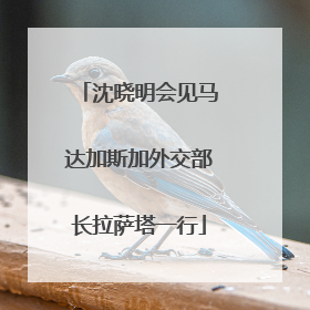 沈晓明会见马达加斯加外交部长拉萨塔一行