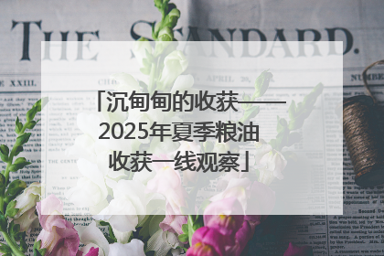 沉甸甸的收获——2025年夏季粮油收获一线观察