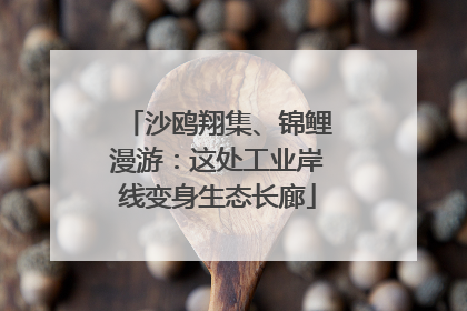 沙鸥翔集、锦鲤漫游：这处工业岸线变身生态长廊