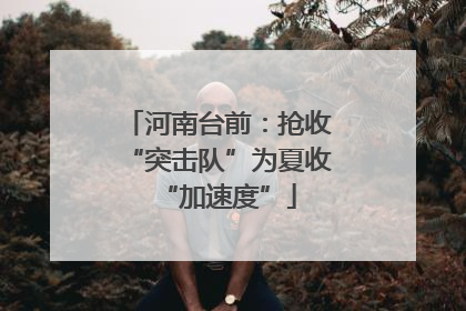 河南台前：抢收“突击队”为夏收“加速度”