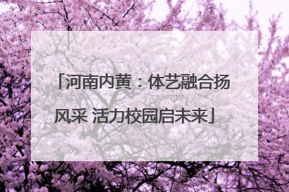 河南内黄：体艺融合扬风采 活力校园启未来