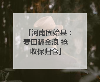 河南固始县：麦田翻金浪 抢收保归仓