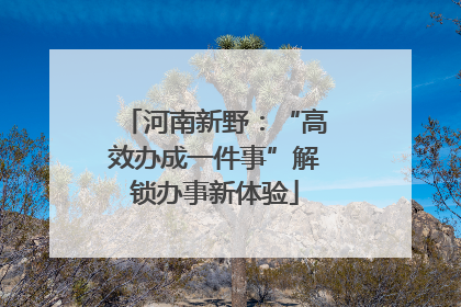 河南新野：“高效办成一件事”解锁办事新体验