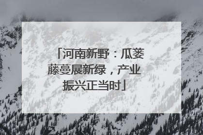 河南新野：瓜蒌藤蔓展新绿，产业振兴正当时