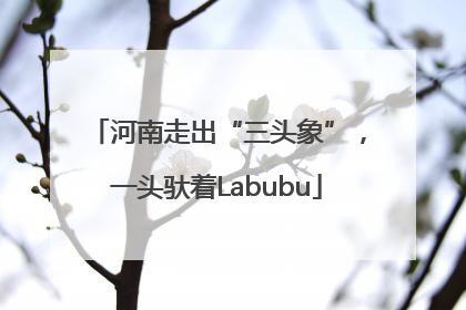 河南走出“三头象”，一头驮着Labubu