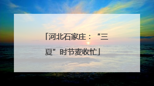 河北石家庄：“三夏”时节麦收忙