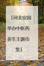 河北安国举办中医药养生主题市集