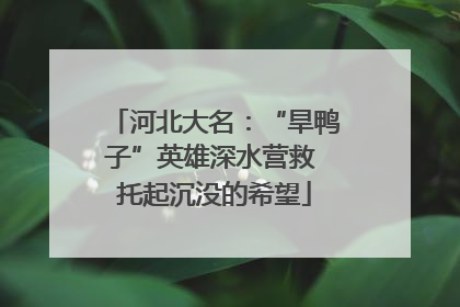 河北大名：“旱鸭子”英雄深水营救 托起沉没的希望