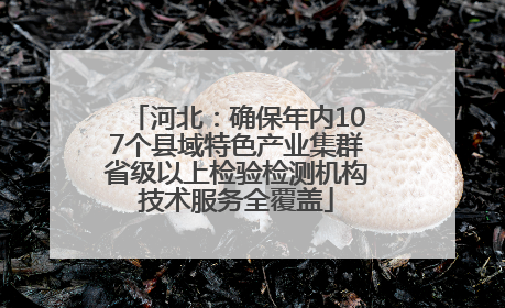河北：确保年内107个县域特色产业集群省级以上检验检测机构技术服务全覆盖