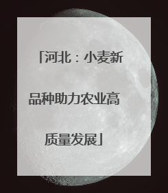 河北：小麦新品种助力农业高质量发展