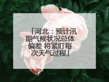 河北：预计汛期气候状况总体偏差 将紧盯每次天气过程